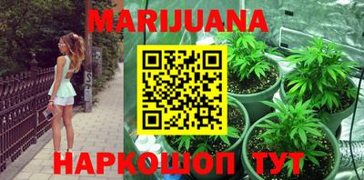 трава Будённовск