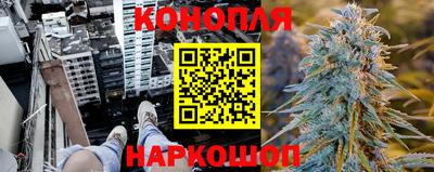 сатива Бузулук