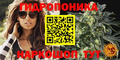 гидропоника Бугуруслан