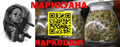 сатива Бузулук